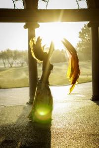 10171273_10152435143187142_3314562094498285170_n