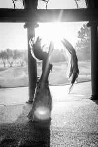 10408755_10152435143337142_5569609252576255333_n